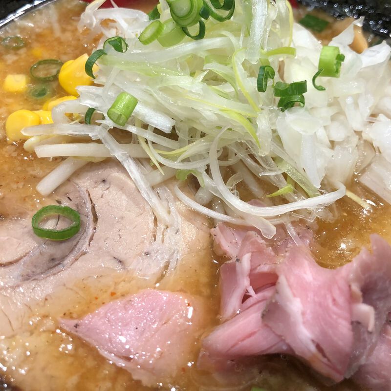 【冷蔵】【広島・うすい中華】広島ラーメン・味噌ラーメン　セット（4袋8食セット）（送料無料）_05