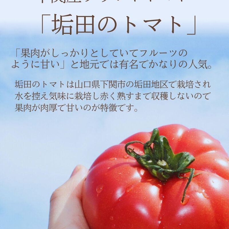 「垢田のトマトゼリー6個入ギフトセット」 ギフト プレゼント 山口県内祝い お供え 贈り物お返しおみやげスイーツ 洋菓子 お菓子 プレゼント 2000円 2500円  内祝い お供え 食べ物 食品お盆 お供え お中元 御中元 暑中見舞い_04