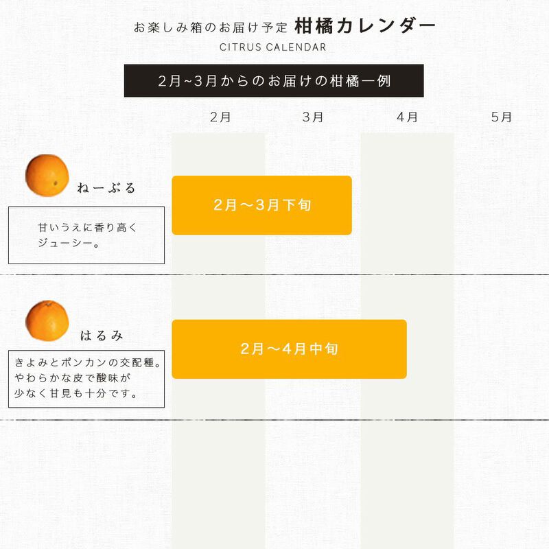 【本州内●送料無料】【春季限定】春かんきつお楽しみ箱【贈答用(特選品)】5kg(3～4種類の春みかん詰め合せ)_11