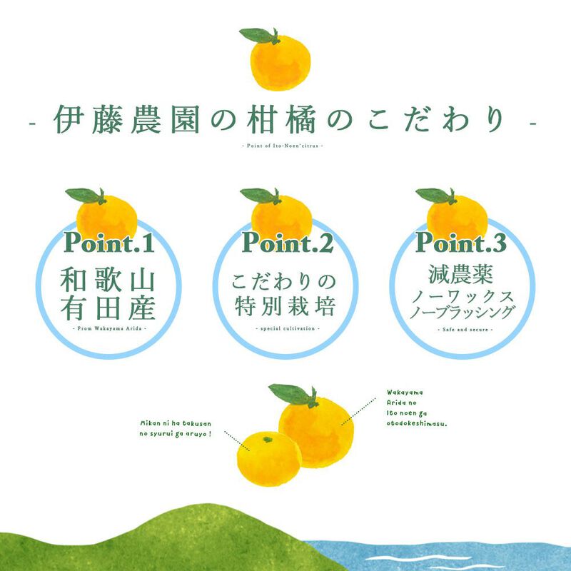 【本州内●送料無料】【春季限定】甘夏(あまなつ)【家庭用(訳あり品)】5kg_02