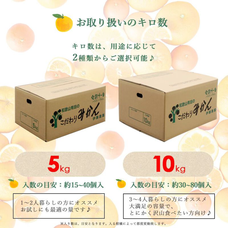 【本州内●送料無料】【春季限定】春かんきつお楽しみ箱【贈答用(特選品)】5kg(3～4種類の春みかん詰め合せ)_02