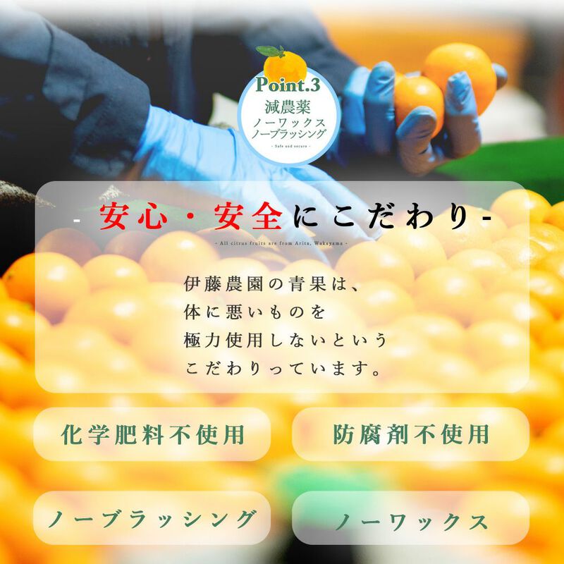 【本州内●送料無料】【春季限定】春かんきつお楽しみ箱【贈答用(特選品)】5kg(3～4種類の春みかん詰め合せ)_06