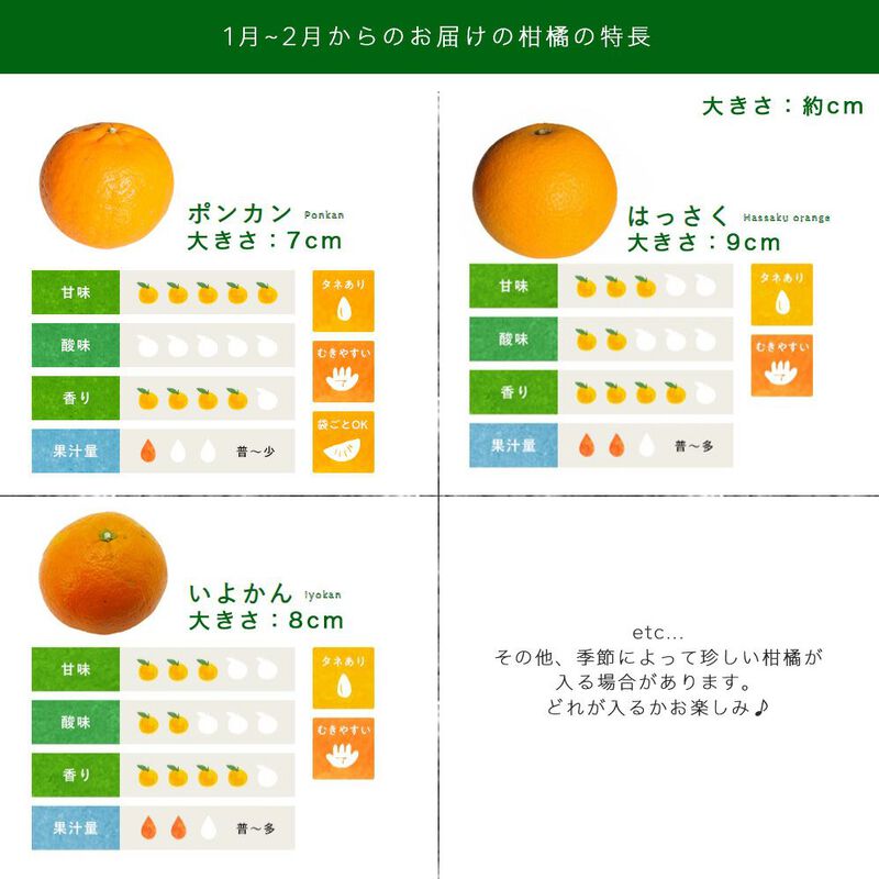 【本州内●送料無料】【春季限定】春かんきつお楽しみ箱【贈答用(特選品)】5kg(3～4種類の春みかん詰め合せ)_13