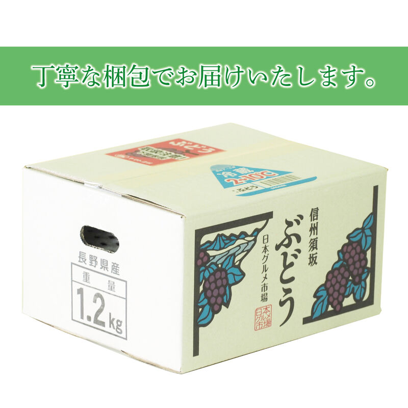 【2024年発送分】シャインマスカット 約1.2kg（約1～3房）2024年9月上旬頃～2024年10月下旬頃_03