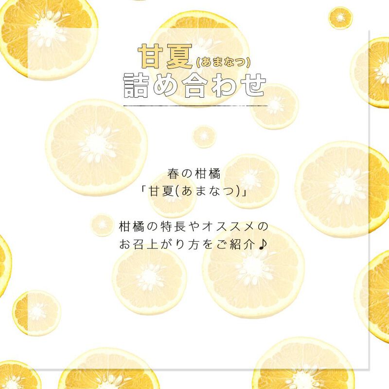 【本州内●送料無料】【春季限定】甘夏(あまなつ)【家庭用(訳あり品)】5kg_06