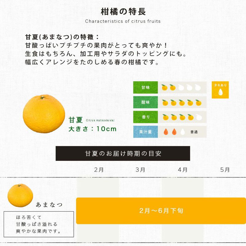 【本州内●送料無料】【春季限定】甘夏(あまなつ)【家庭用(訳あり品)】5kg_07