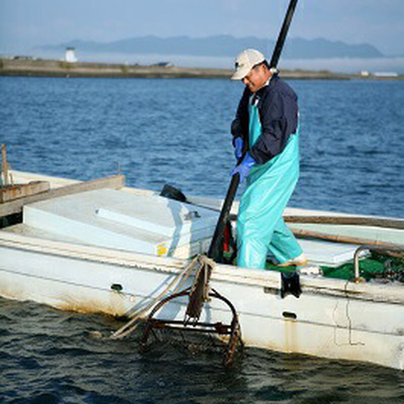 宍道湖産 大和しじみ ( 冷凍Lサイズ, 3kg )_03