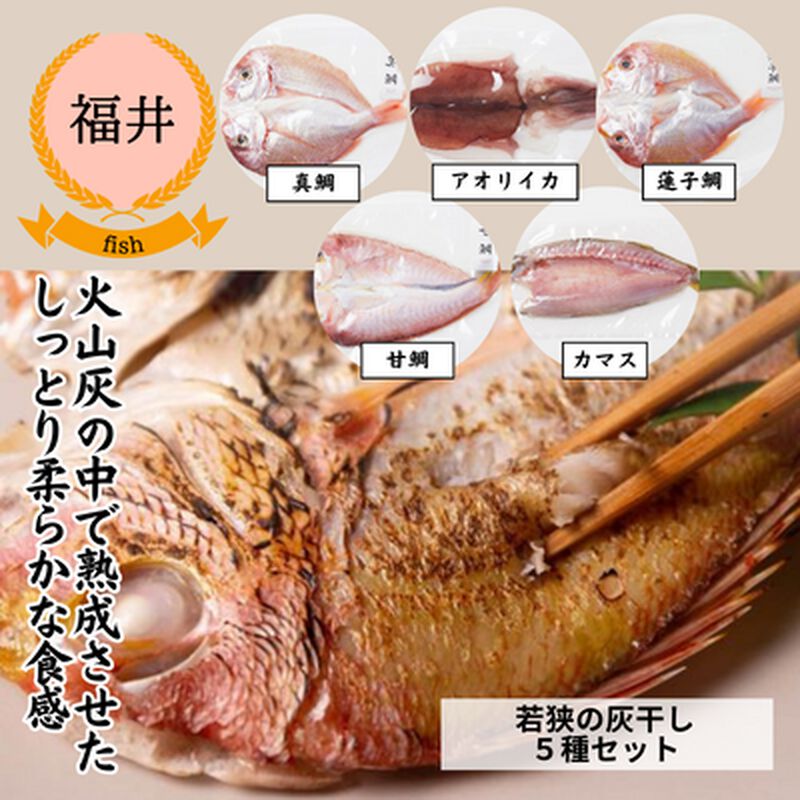 【冷凍】【福井県若狭湾・UMIKARA】旬を味わう贅沢！魚の美味しさを閉じ込めた、若狭の灰干し５種セット（送料無料）_01