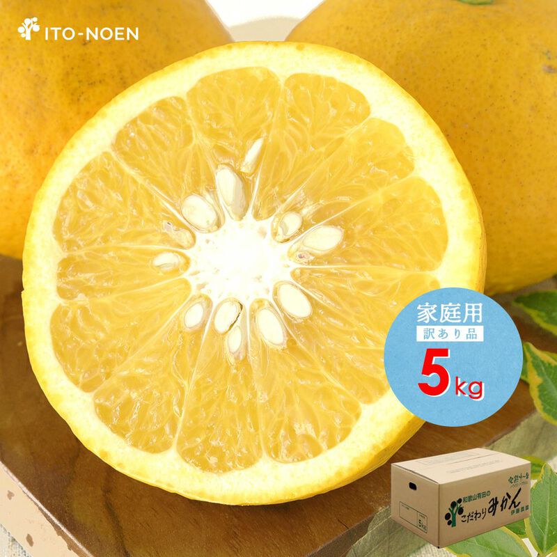 【本州内●送料無料】【春季限定】甘夏(あまなつ)【家庭用(訳あり品)】5kg_17