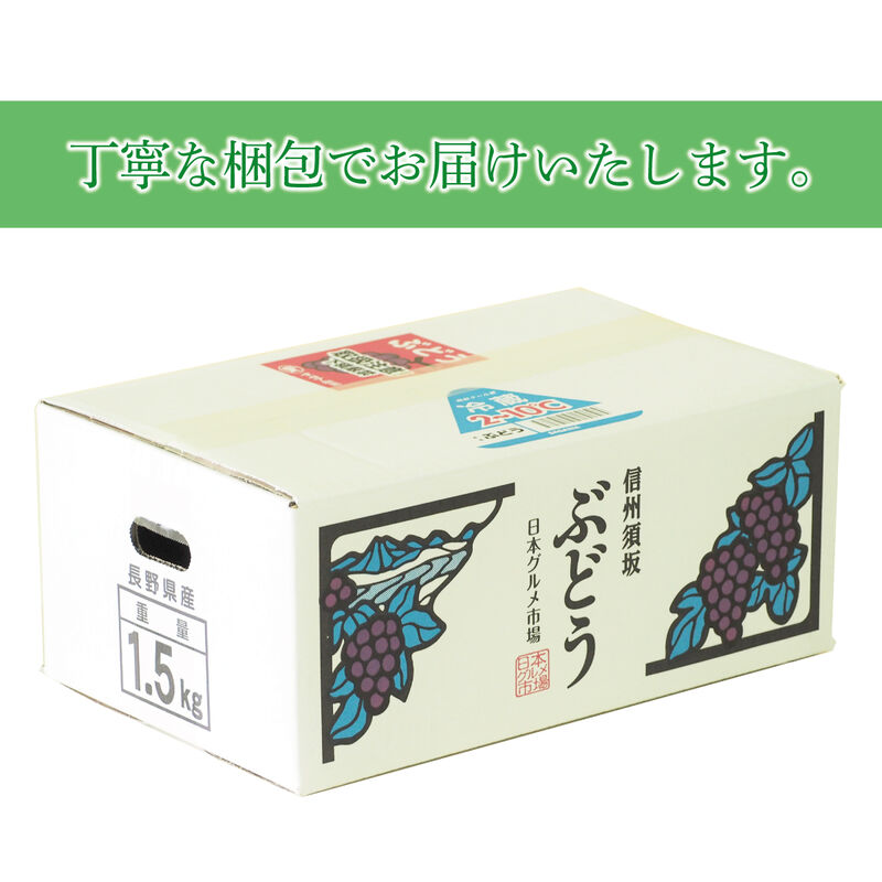 【2024年発送】シャインマスカット 約1.5kg（約2～4房）2024年9月上旬頃～2024年10月下旬頃_03