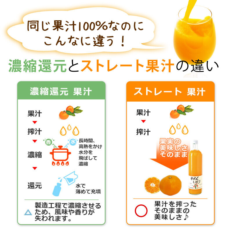 100%ピュア果汁レモン100ml_07