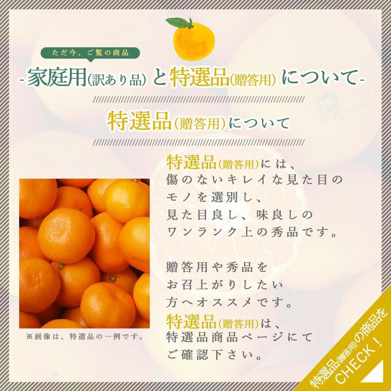 【本州内●送料無料】【春季限定】甘夏(あまなつ)【家庭用(訳あり品)】5kg_10