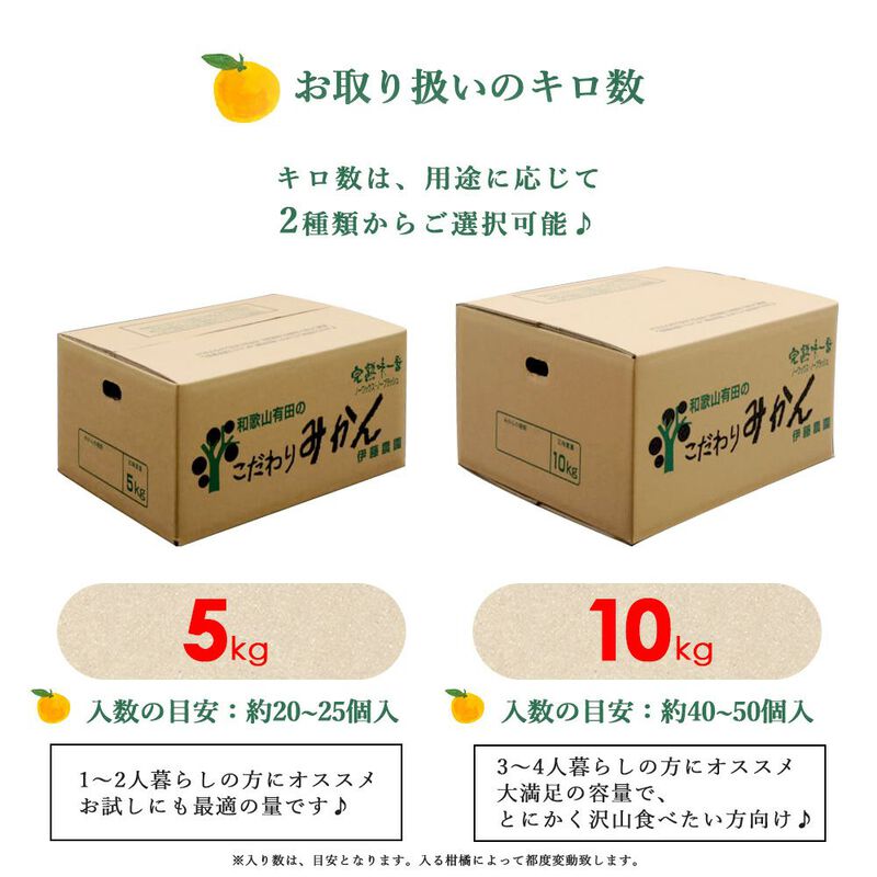 【本州内●送料無料】【初夏限定】バレンシアオレンジ【家庭用(訳あり品)】10kg_02