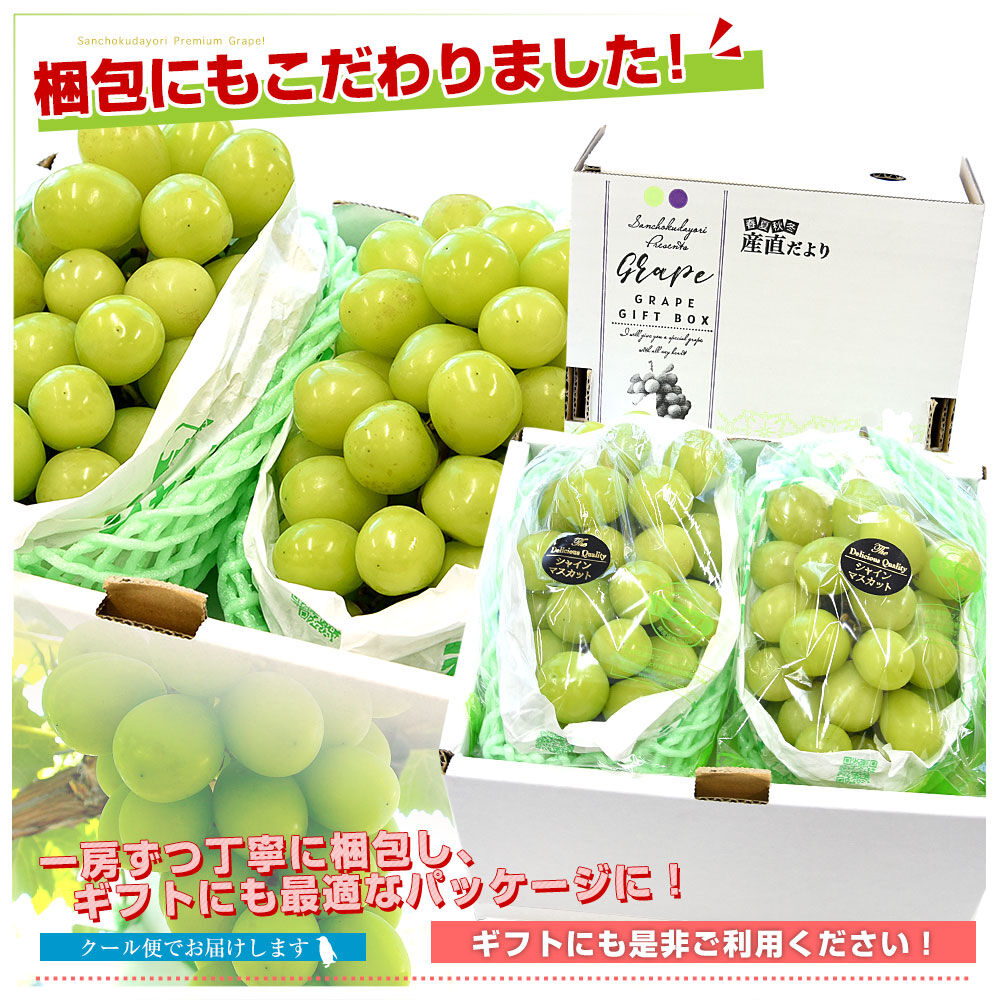 長野県産 大房シャインマスカット 秀品 1.2キロ（大房2房）送料無料