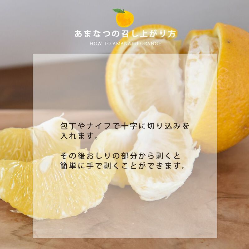 【本州内●送料無料】【春季限定】甘夏(あまなつ)【家庭用(訳あり品)】5kg_08