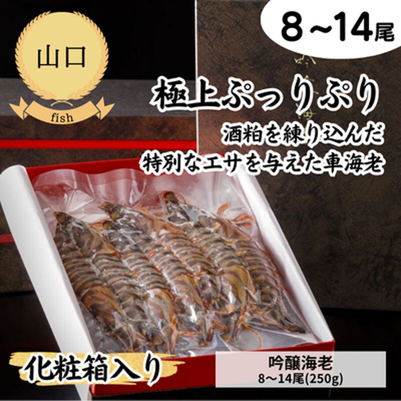 【冷凍】【山口県】株式会社Archis〈化粧箱入り〉吟醸海老8～14尾(250g)（送料無料）_01