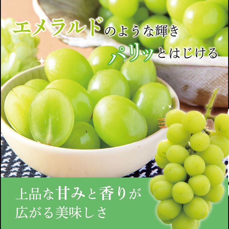 【2024年発送】シャインマスカット 約2kg（約2～5房）2024年9月上旬頃～2024年10月下旬頃_02