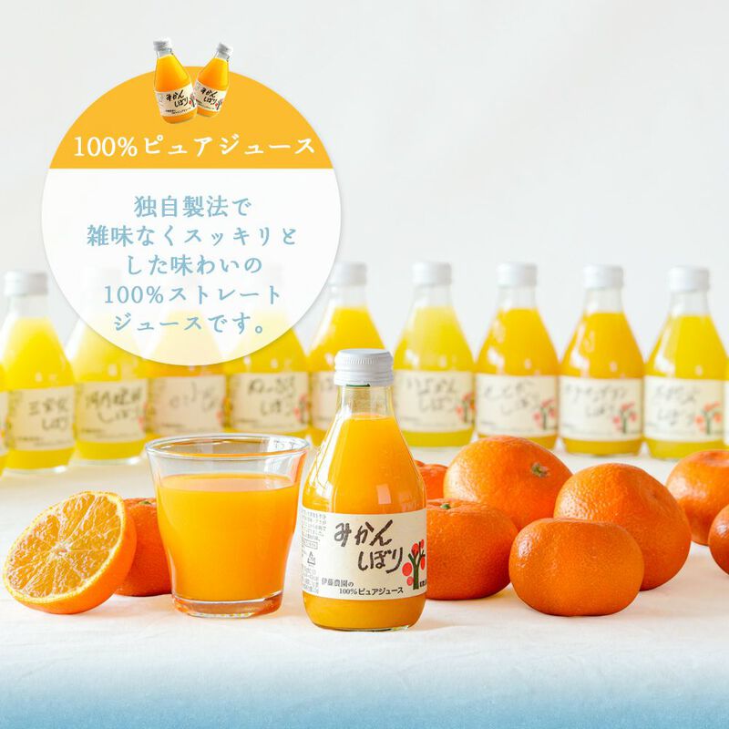 みかんジュース6種飲み比べセット V-032 (100%ピュアジュース180ml×7本・素朴ドリンク3本)_09