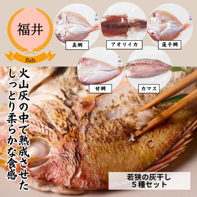 【冷凍】【福井県若狭湾・UMIKARA】旬を味わう贅沢！魚の美味しさを閉じ込めた、若狭の灰干し５種セット（送料無料）