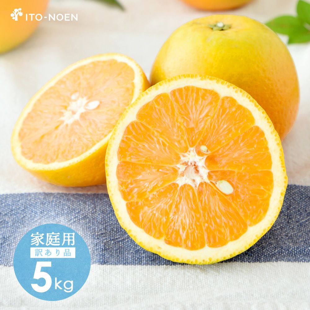 【本州内●送料無料】【初夏限定】バレンシアオレンジ【家庭用(訳あり品)】5kg