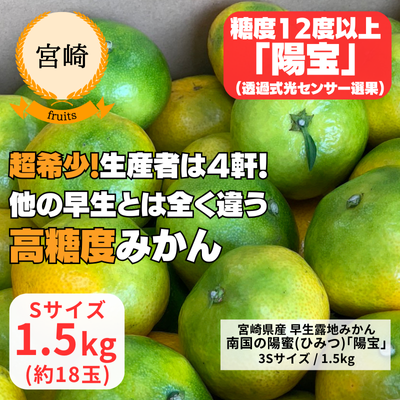 【宮崎・ベジコム】糖度12度以上！極早生みかん「南国の陽宝（ひほう）」1.5kg(送料無料)