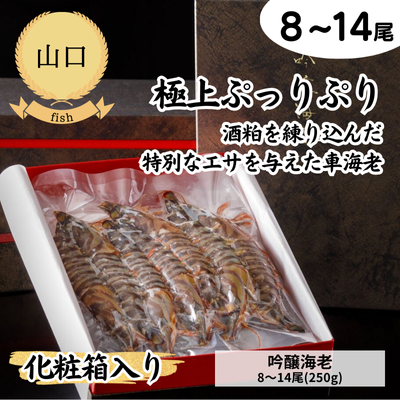 【冷凍】【山口県】株式会社Archis〈化粧箱入り〉吟醸海老8～14尾(250g)（送料無料）